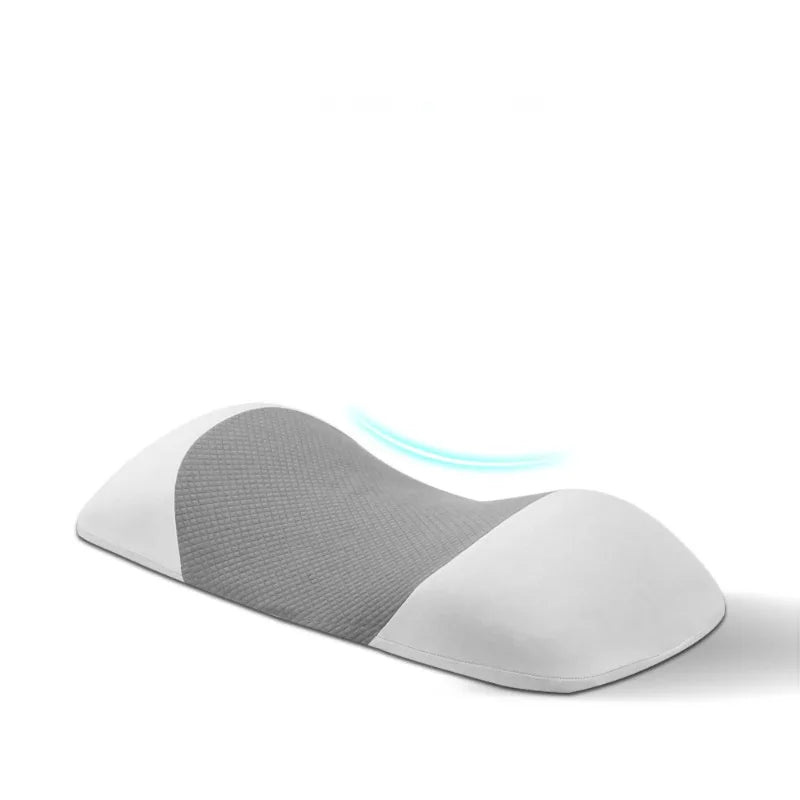 BackEase: Lumbar Support Pillow